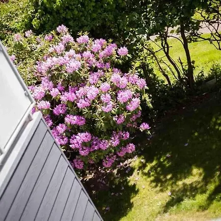 Appartement 3 Levke Id 112 *